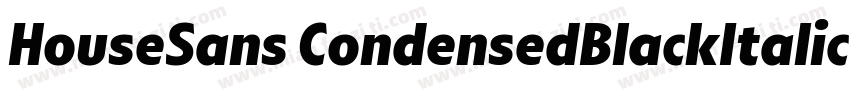 HouseSans CondensedBlackItalic字体转换